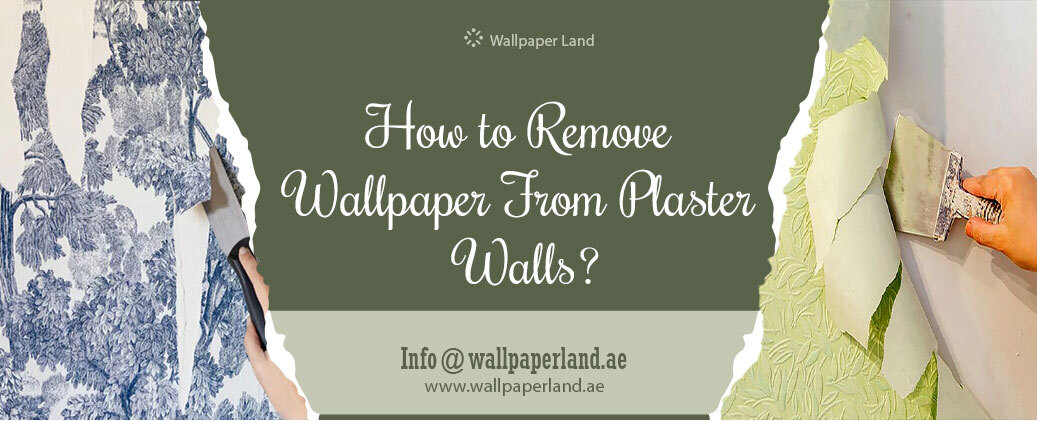 remove wallpaper from Plaster-Wall