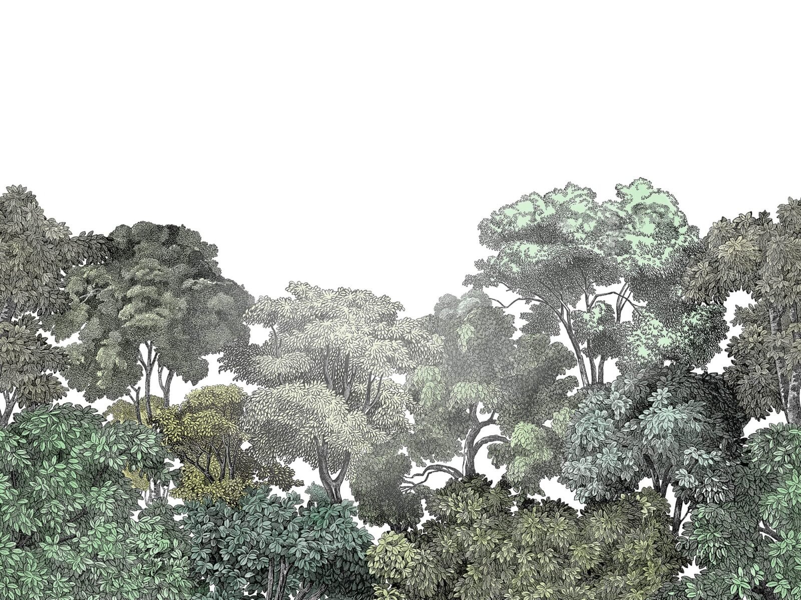 Bellewood - Image 2