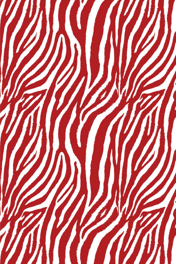 Safari - Image 2