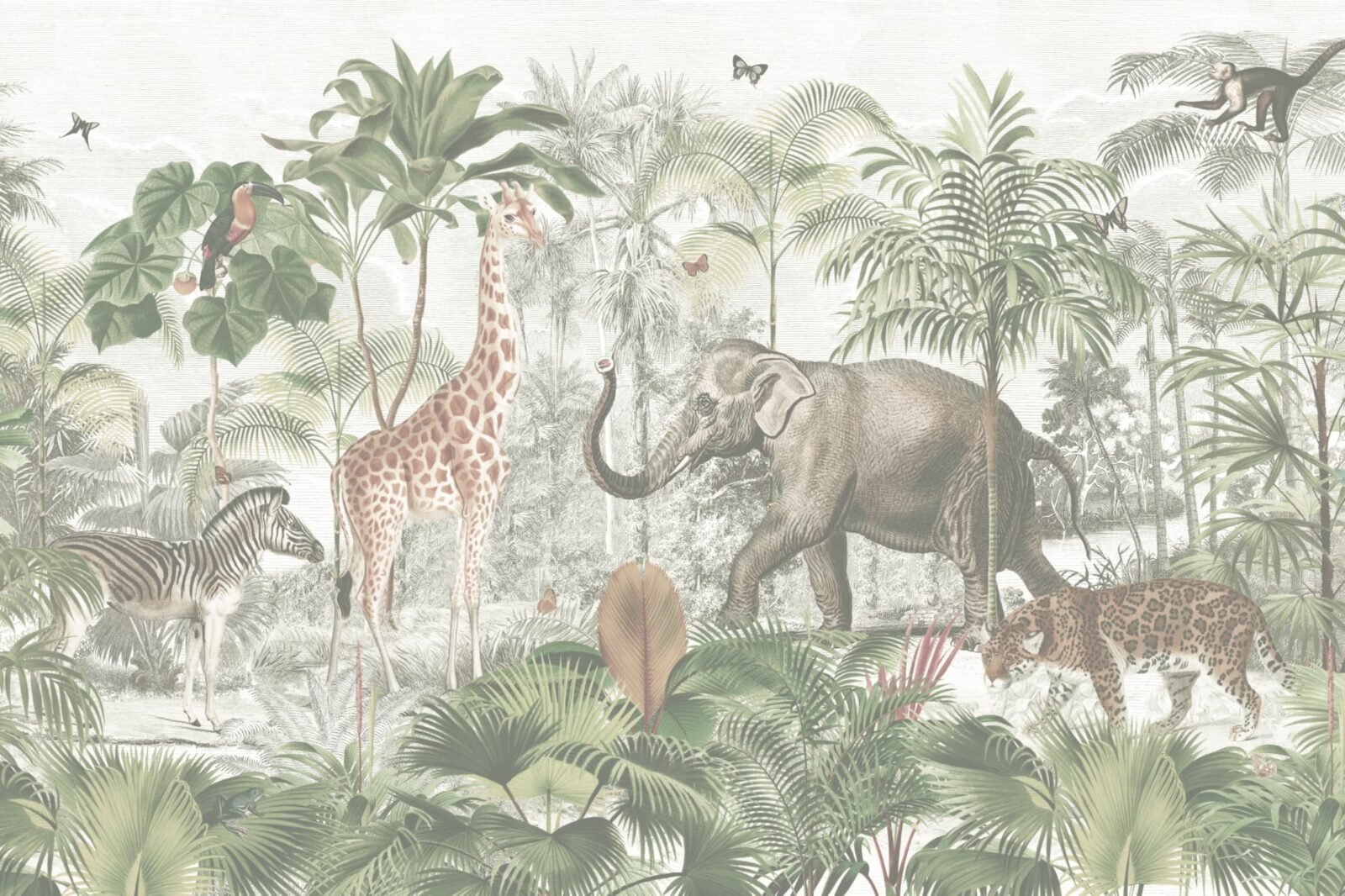 Sumatra Classic - Image 2