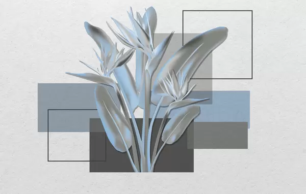 Strelitzia and geometria - Image 2
